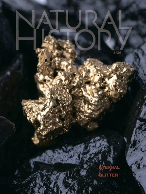 Natural History – 05.2026