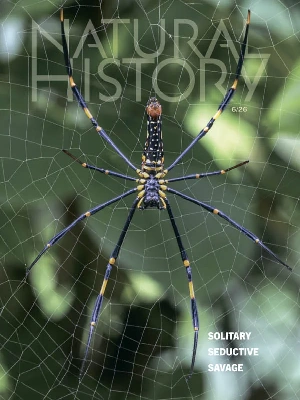 Natural History – 06.2026