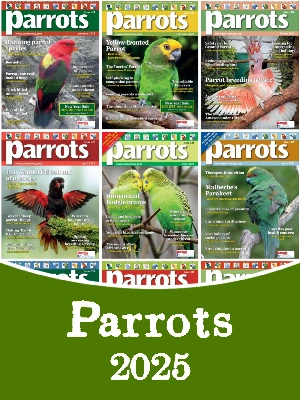 Parrots – 2025 Full Year