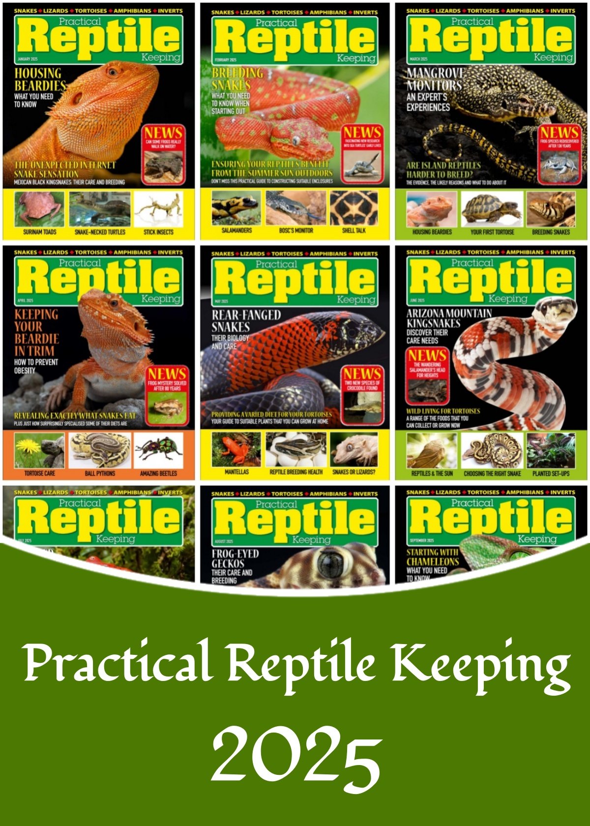 Practical Reptile Keeping – 2025 Full Year