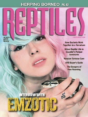 Reptiles – 07-08.2026