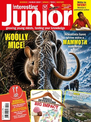 Very Interesting Junior – Is.71 2026