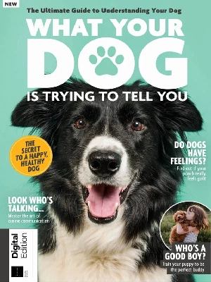 What Your Dog Is Trying To Tell You – 2026