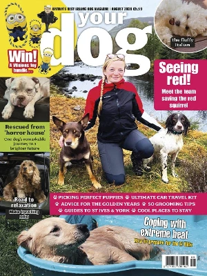 Your Dog – 08.2026