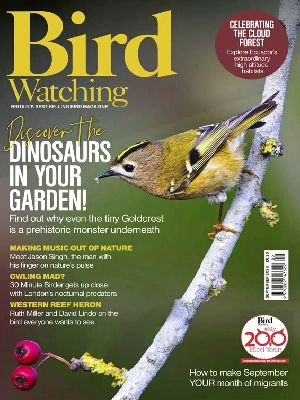 Bird Watching UK – 09.2026