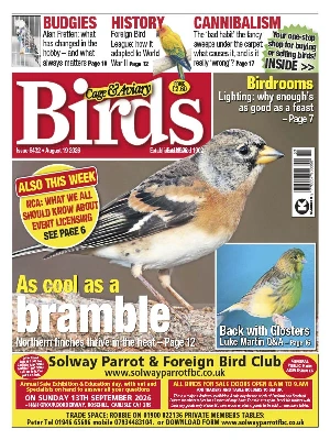 Cage & Aviary Birds – 08.19.2026