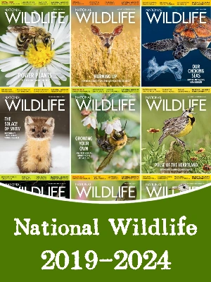 National Wildlife – 2019-2024 Full Year