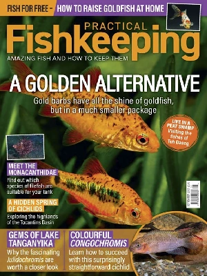 Practical Fishkeeping – 09.2026