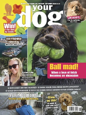 Your Dog – 09.2026
