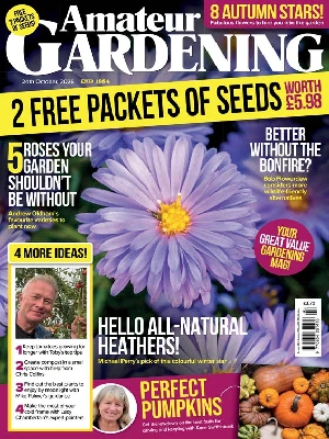 Amateur Gardening – 10.24.2026