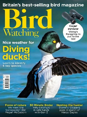 Bird Watching UK – 11.2026