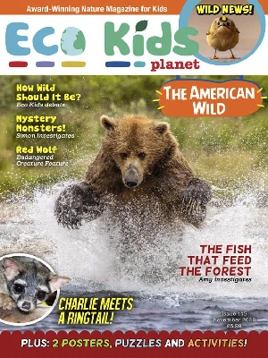Eco Kids Planet – 11.2026