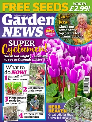 Garden News – 10.20.2026